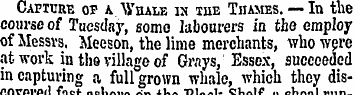 Cafiuue 01? a. Whale in the Thames. — In...