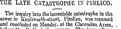 TIIE LATE CATASTROPHE IN PIMLICO, The in...
