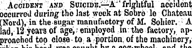 Accident and Suicide.—A"' frightful acci...