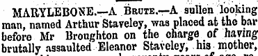 MARYLEBONE.—A Brute.—A sullen looking ma...
