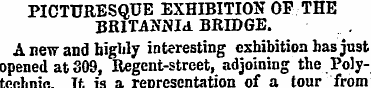 PICTURESQUE EXHIBITION OF THE BRITANNIA ...