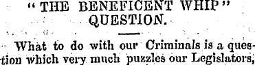 " THE BENEFICENT WHIP " QUESTION. What t...