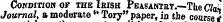 Condition of the Ikish Peasantry.—The Cfa^ Journal, a moderate " Tory" paper, in the coarse *