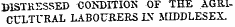 DISTRESSED iXXKDITION OF THE AGRICULTURAL LABOURERS IX MIDDLESEX.
