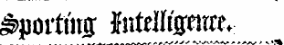 porting liitdliflpnoe*: