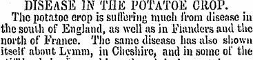DISEASE IN THE POTATOE CROP. Thc potatoe...