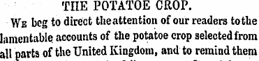 TIIE POTATOE CROP. We bog to direct the ...