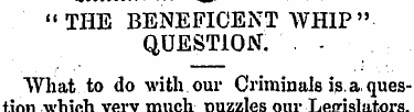 " THE BENEFICENT WHIP " QUESTION. . - Wh...