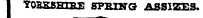 YOBESRXBE SPRING ASSIZES.