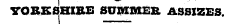 YORKSHIRE SUMMER ASSIZES.
