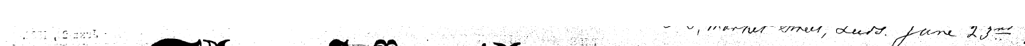 Untitled Article