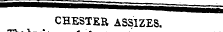 ineDnsine&s MiHifisssai^s^gj CHESTER ASSIZES. ¦ 11 n - _ '