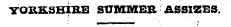 YORKSHIRE SUMMER ASSIZES.