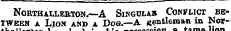 ni «¦ NORTHALLEBTOM.—A SlNGUXAB CONFLICT BETWEEN a Lion and a Doe.—A gentleman iu Nori L-iK—i^^ 1' ' t » • • — — ._._&gt;•&gt;*nnSswa a. b*%mA liAn