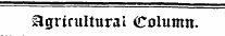 agricultural Column.