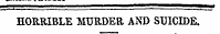 HORRIBLE MURDER AND SUICIDE.