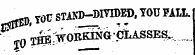^n YOU STAND-DIVIDED, YOU PALL jO TBE FORKING CLASSES., _ ..