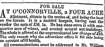 Untitled Ad