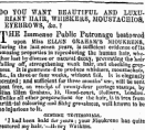 Untitled Ad